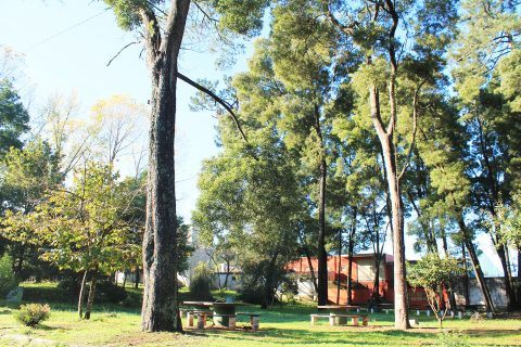 Parque de Merendas do Buçaquinho