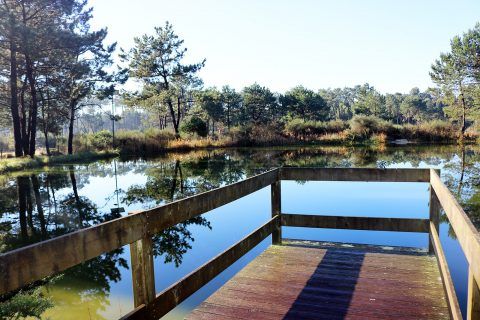 Parque Buçaquinho Cortegaça