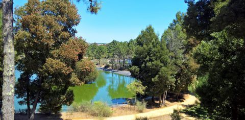 Parque Buçaquinho Cortegaça