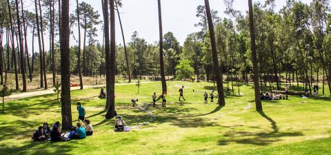 Parque Buçaquinho Cortegaça